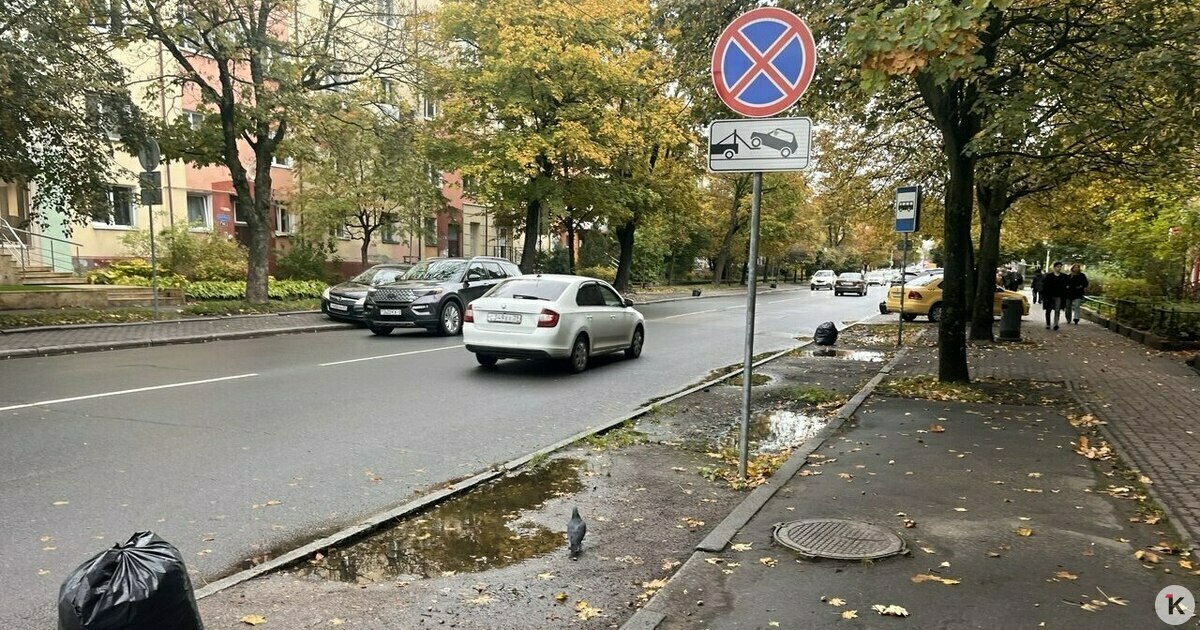 Тротуары и велодорожки вместо стоянок: мэрия объяснила приоритеты