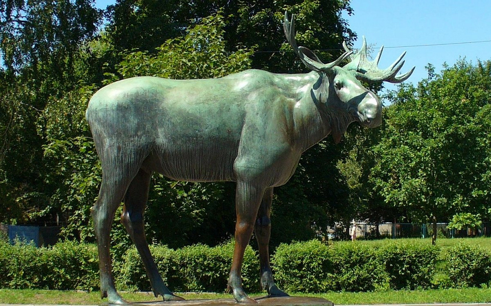 Гумбинненский лось в Гусеве